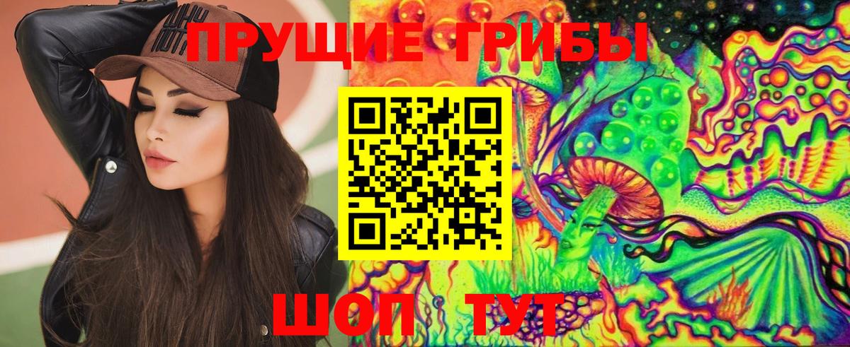 Псилоцибиновые грибы мицелий Королёв