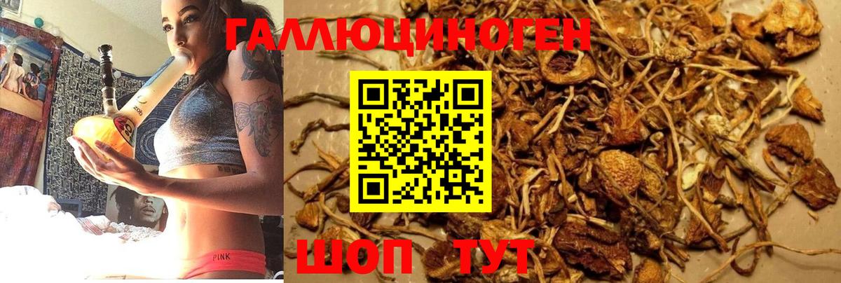 Королёв  Вход с VPN  COCAIN  Конопля  Мефедрон   ГАШИШ  Каннабис  ГАШ 